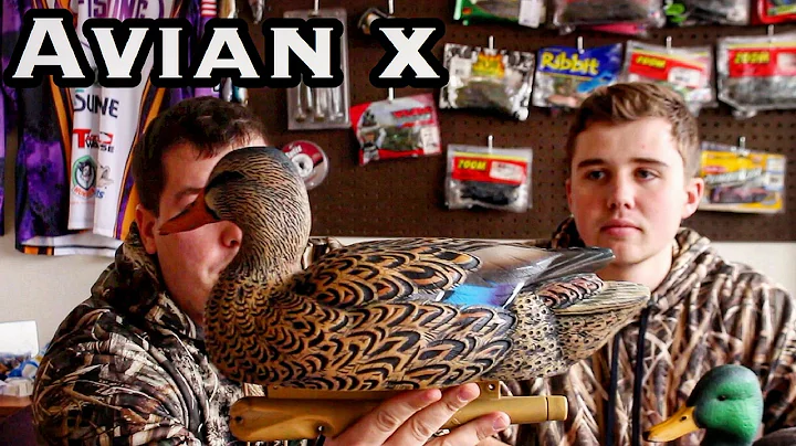 Avian X Mallard Decoys : Duck Review Series #1