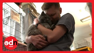 The Cats and Dogs FLEEING Bloodshed in Ukraine