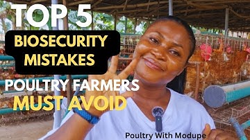 Top 5 Biosecurity Mistakes Poultry Farmers Must Avoid  | Poultry With Modupe
