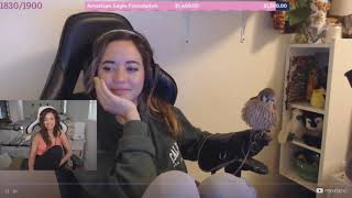 Pokimane Reacts to Random Twitch Clips!! (Part 6)