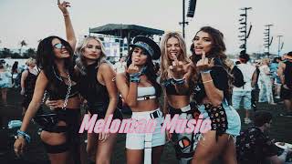 Sean Paul - Day 2 Day  ( Meloman Remix ) 2024