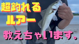 到着して一投目で釣れちゃう！【シーバスフィッシング】　超釣れるルアー教えちゃいます。　７月末　河口　#shorts