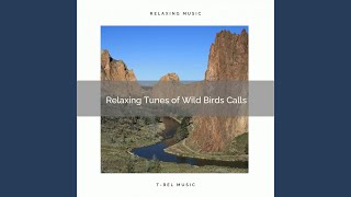 Whispering River Music for Extreme Relax