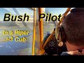 Classic Piper J-3 Cub Bush Pilot and the St. Johns River Basin