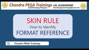 SKIN RULE -Format References in PEGA || Next Batch DEC 15 2025, Call/WApp +91 8106090080#pega