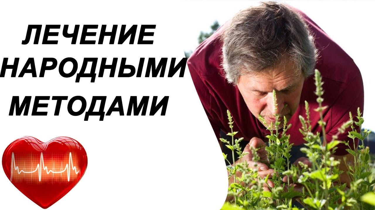 Народное лечение гипертонии. Гипертония лечение народными средствами. Программа лечения гипертонии.
