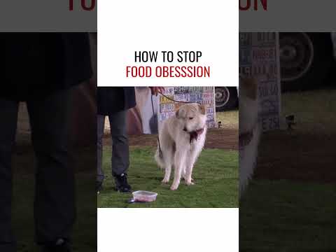 How to Stop Food Obsession