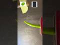 Which material can cut chili?#satisfying #experiements #asmr #relaxing #shorts #usa #uk