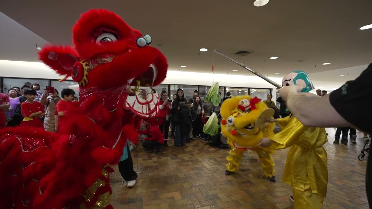 Lion Dance Part 6