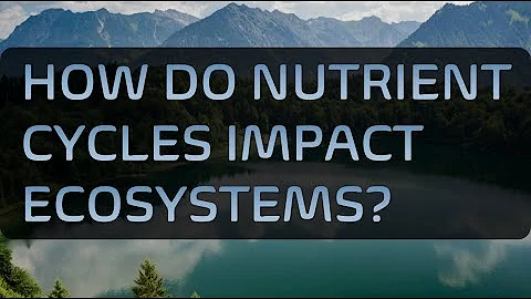How Do Nutrient Cycles Impact Ecosystems?