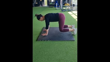 Bear Crawl position -plank