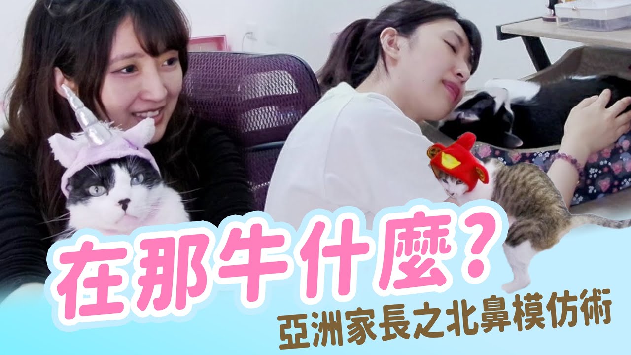 【小熊】賓士貓還是乳牛??煩人主人日常｜小熊實況精華｜貓媽媽日常