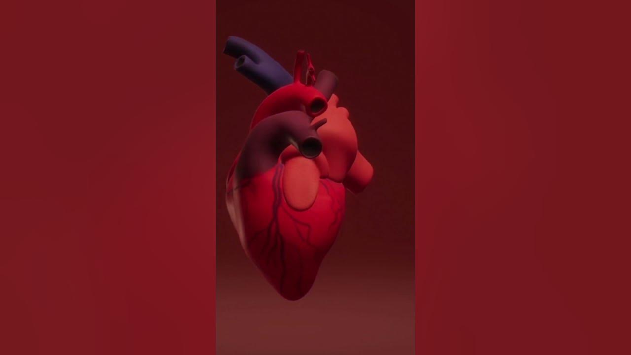 Heart Kis Side Hota Hai Left Ya Right shorts heart-kis-side-hota-hai-left-ya-right-shorts