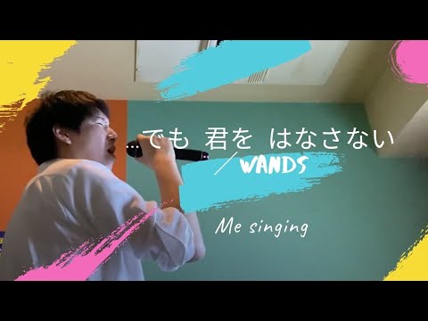 歌ってみた でも 君を はなさない WANDS