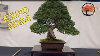 Expo 2024 Bonsai Show