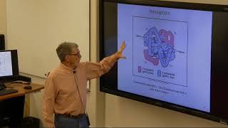 Pathophysiology 34_ Hematologic System 1 screenshot 5