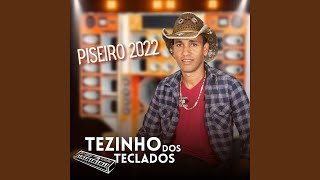 Nheco Nheco a Sanfoninha