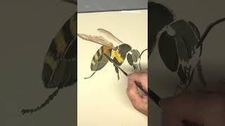 Abeja pintada a mano #short #diy #manualidades #artist #decoracion #painting #reciclaje