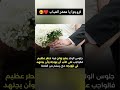 تزوجوا يا معشر الشباب
