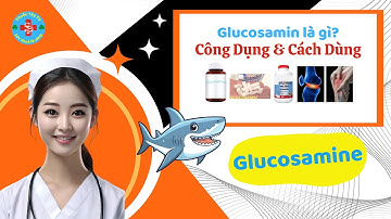 Glucosamine là gì? Công dụng của glucosamine | Thuốc Tây TV