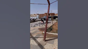 Laghouat 