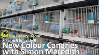 The Canary Room Season 5 Episode 9 - New Colour Canaries with Simon Meredith screenshot 3