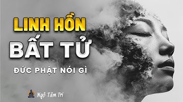 KHÔNG CÓ LINH HỒN Theo Đức Phật - Sự Thật Về “Tôi” Và Vô Ngã | Ngộ Tâm Trí