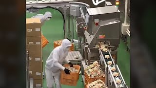 TOTAL IDIOTS AT WORK #38 | BAD DAY AT WORK 2022