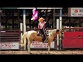 Hand Clap || Rodeo Horse Music Video