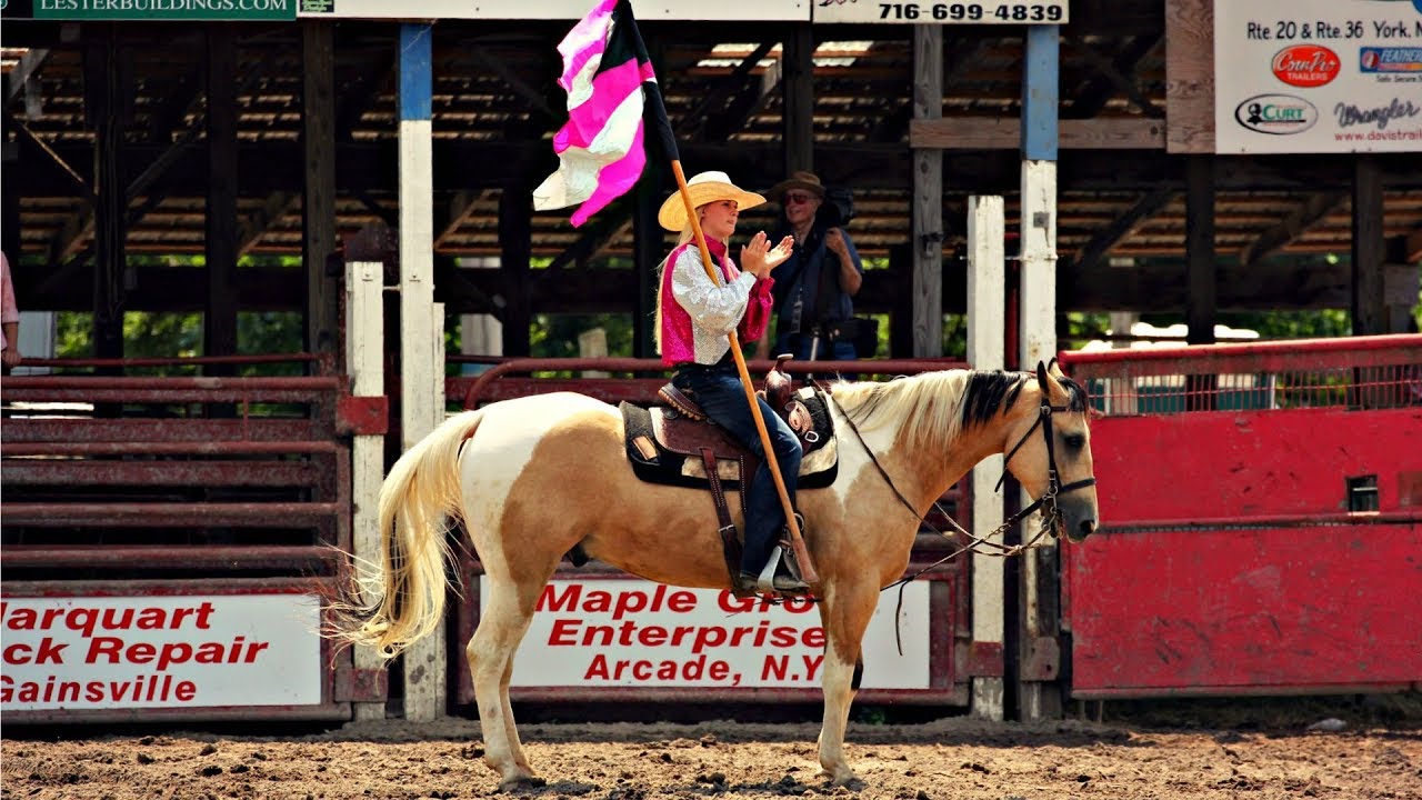 Hand Clap || Rodeo Horse Music Video