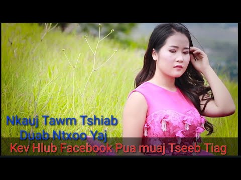 Video: Puas Yog Facebook Pab Tau