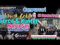 Percil live lumajang tempursari