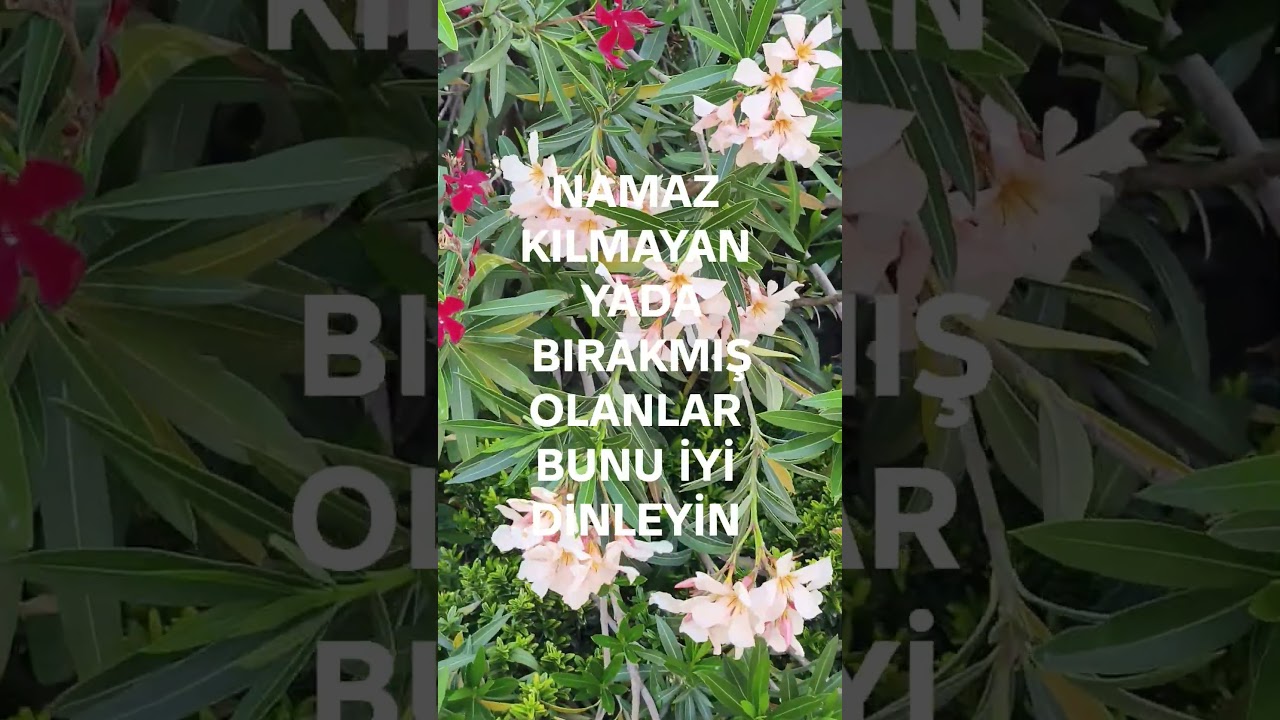 NAMAZ KILMAYAN YADA BIRAKMIŞ OLANLAR