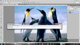 cutting and pasting photos in photoshop screenshot 5