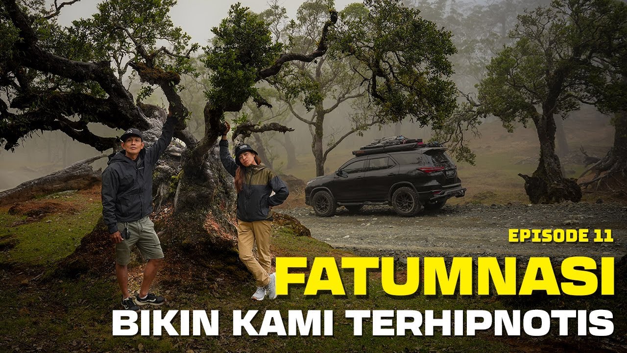 HUTAN PURBA MUTIS ! Menembus Kabut Di Hutan Bonsai Fatumnasi, TTS | EPS. 11