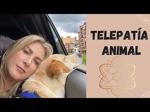 Comunícate astralmente