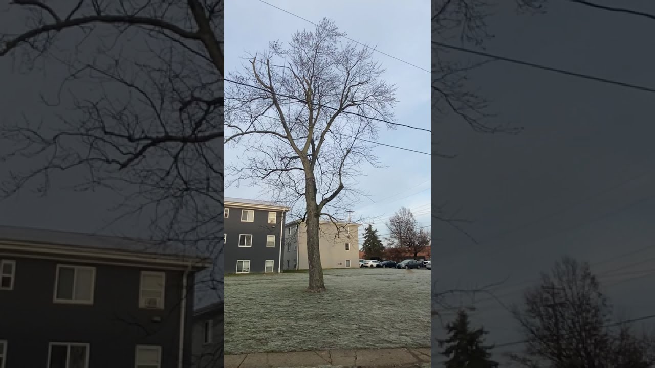 Voy a dejar a mi hija al bus🚍🚍🚐