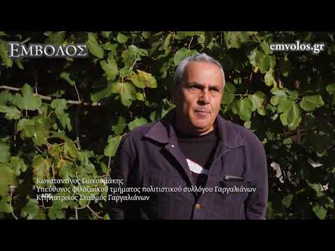 Costa Navarino :
