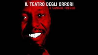 Video thumbnail of "Il Teatro Degli Orrori - Per Nessuno"