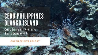 Gilutongan Marine Sanctuary , Olango Island, Cebu, Philippines