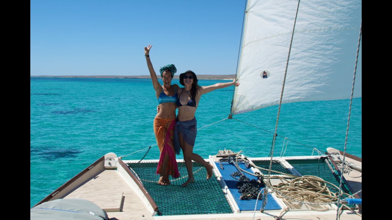 Swimming With ALOT Of SHARKS!  – Sailing Tangaroa