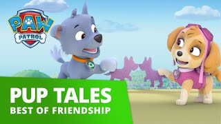 PAW Patrol - Friendship Day Music Video! - PAW Patrol Official and Friends