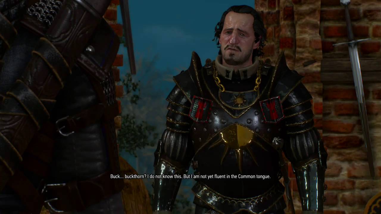 You know I have a dick, right? (Witcher 3) [M]