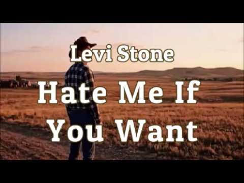 Hate Me If You Want by Levi Stone