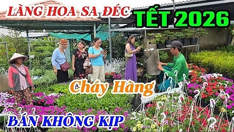 NHỘP NHỊP LÀNG HOA SA ĐÉC TẾT 2026 CHÁY HÀNG KHÔNG KIỆP GIAO LUÔN KHÁCH VÔ TẬN NƠI MUA HOA
