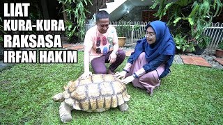 Hampir Di Seruduk Kura-Kura Raksasa Irfan Hakim😅 - Ricis Kepo