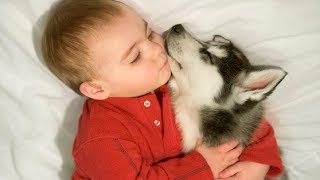 Cute Baby and Dog Sleeping All Days - Dog Loves baby Compilation