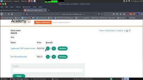 High-level logic vulnerability