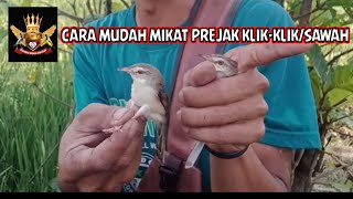 Mikat prenjak klik klik/sawah menggunakan mp3