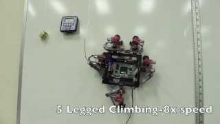 New Gecko-like Robot Can Crawl Up Walls | ESA Space Science HD